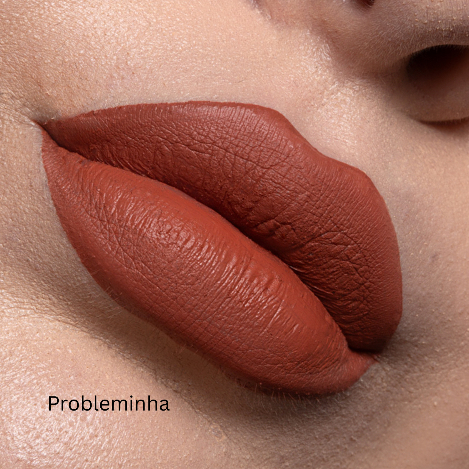 Labial Líquido Matte Mandanudes Adversa